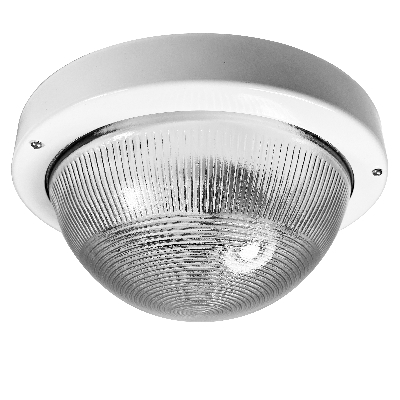 Светильник НПП-03-100-001 IP65 (Селена 1) 